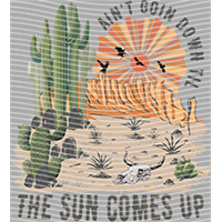 Country music-CU 1013